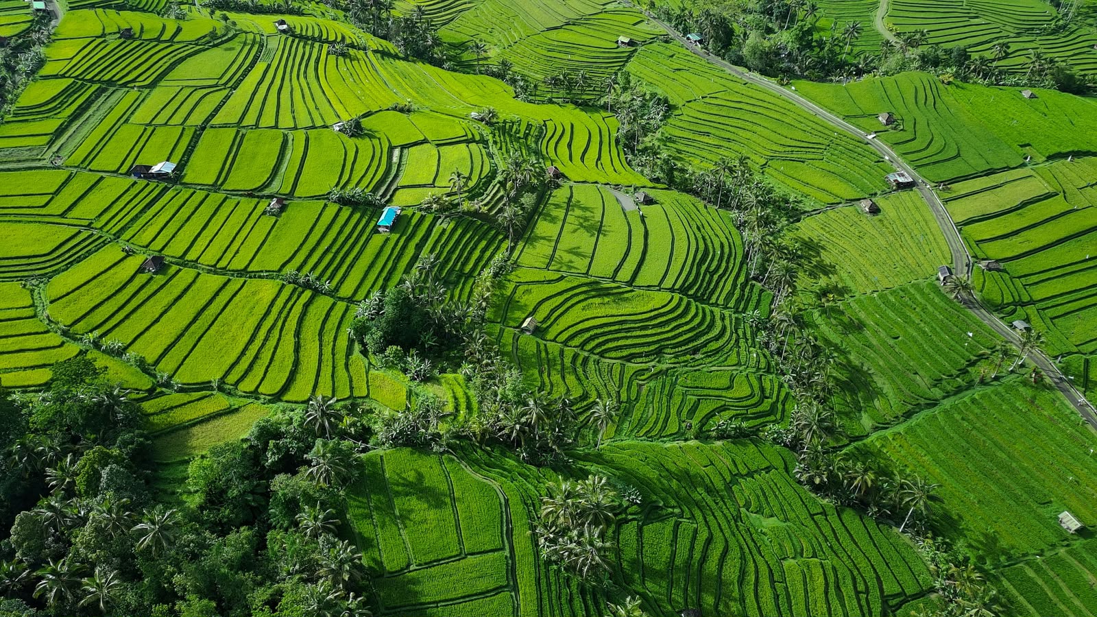 Indonesian culture and tradition